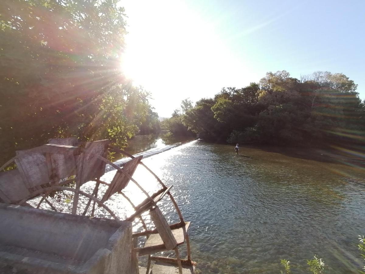 Gîte Les Demoiselles des Sorgues LʼIsle-sur-la-Sorgue Extérieur photo
